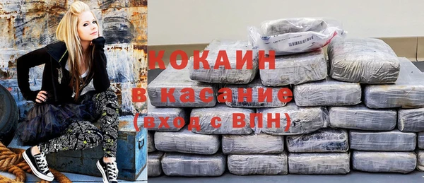 соль ск Алексин