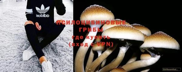 соль ск Алексин